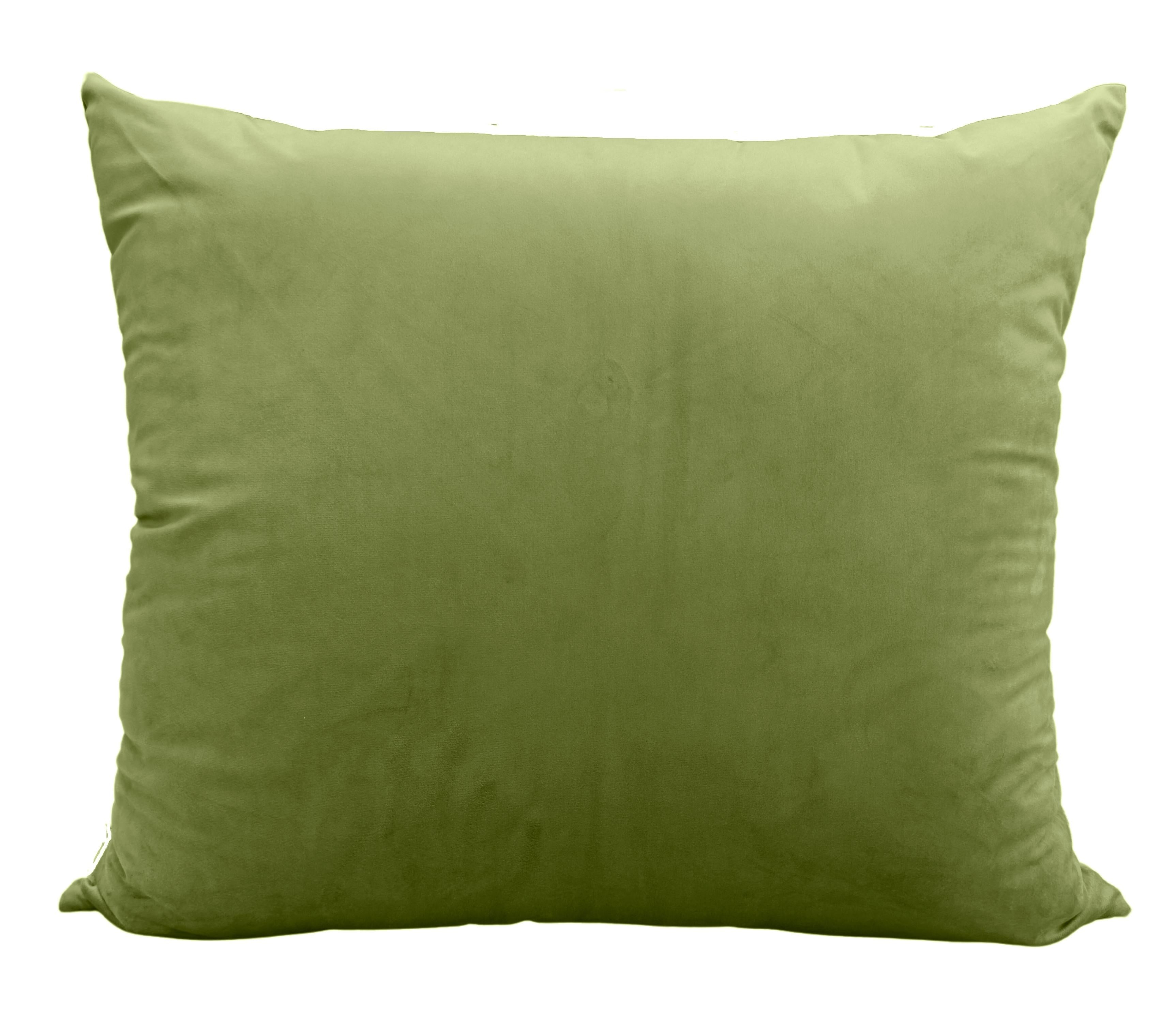 Grand Coussin Isa Vert Clair (55x70 cm)