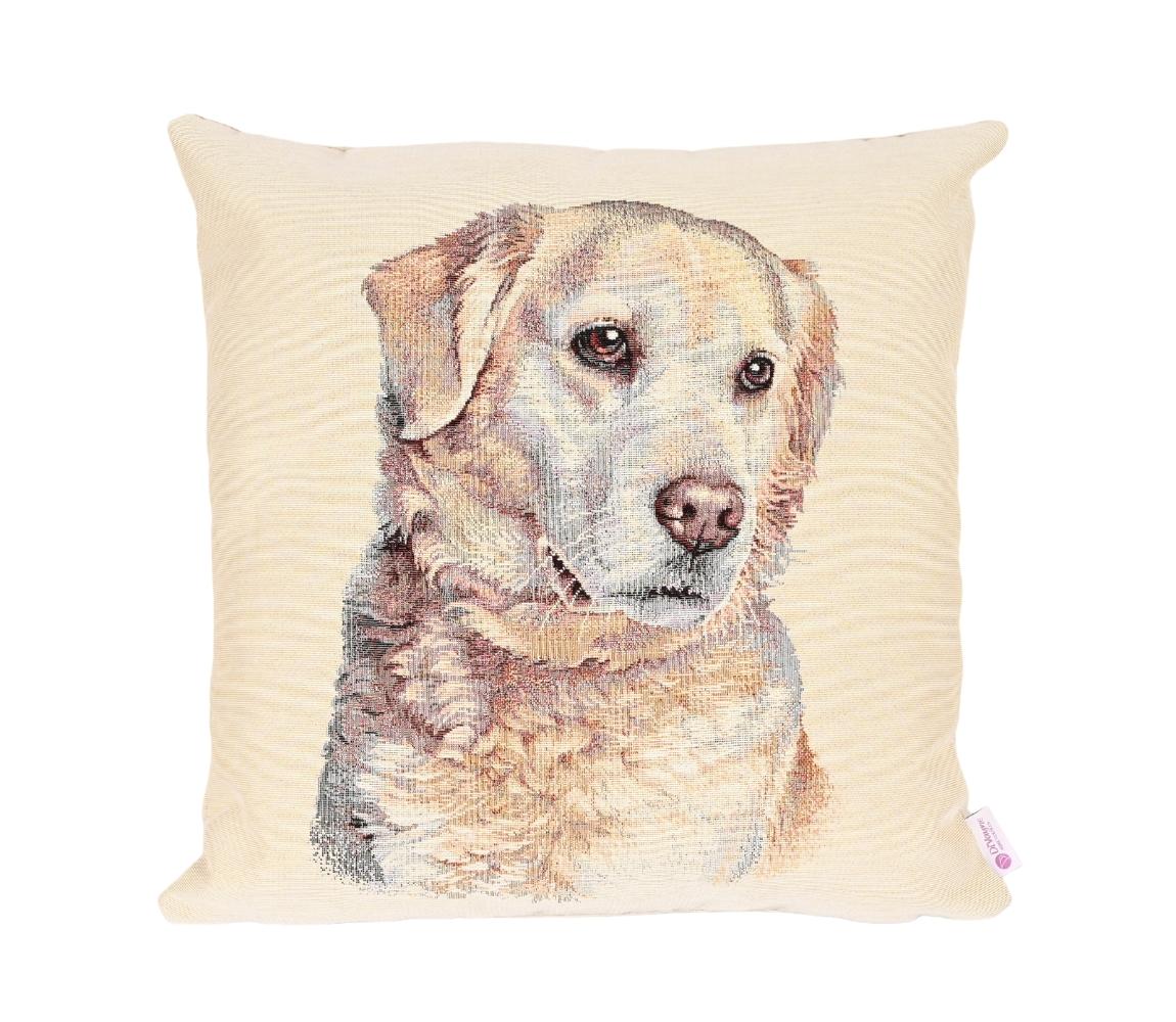 Coussin Déco Chien 1